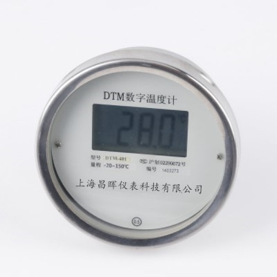 DTM-481数显温度计